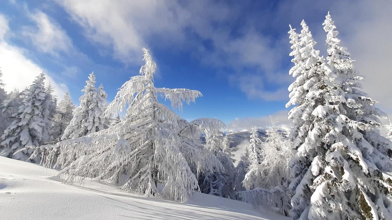 Chalet Verdino バド クラインキルヒハイム エクステリア 写真