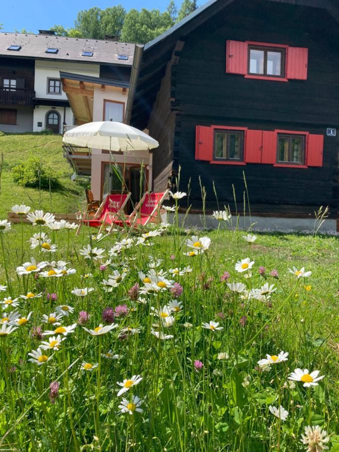 Chalet Verdino バド クラインキルヒハイム エクステリア 写真